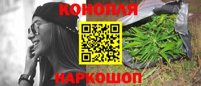 apvp Лесосибирск